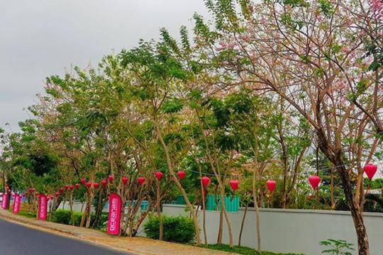 Lovely Room Oceanami Resort Long Hải Ngoại thất bức ảnh